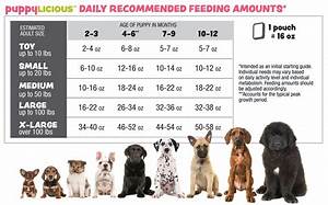 Raw Dog Food Feeding Chart Body Score Chart Reverasite