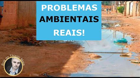 Sobre Os Problemas Ambientais Brasileiros Marque A Alternativa Incorreta