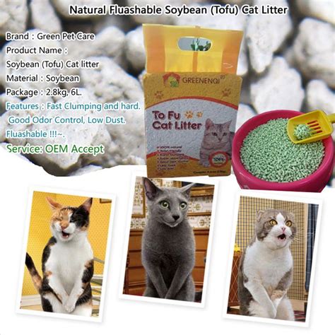 Ever Clean Cat Litter Green Pet Care