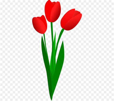 Catat Gambar Bunga Tulip Animasi Yang Wajib Diketahui Informasi