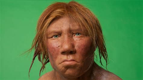 How Did The Last Neanderthals Live Bbc Future