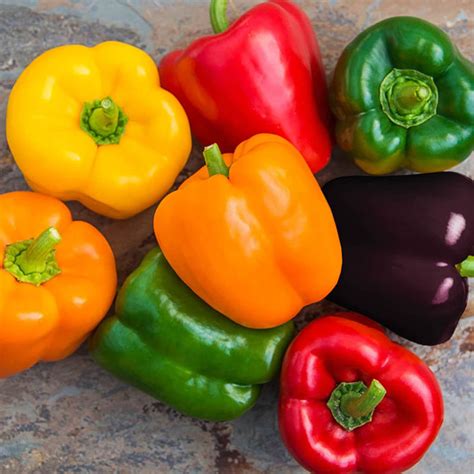 25 Rainbow Sweet Mini Bell Pepper Seeds Etsy