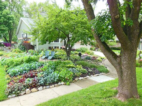 Front Lawn Vegetable Garden How To Design Shawna Coronado