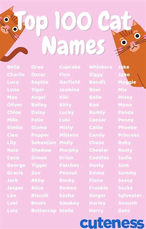The Ultimate Guide To Naming Your Cat Cuteness