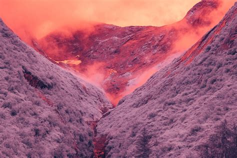 Infrared Photography Transforms Alaskan Landscape Into Another Planet