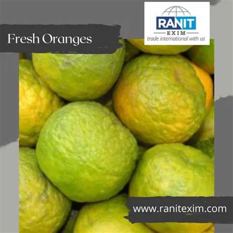 A Grade Maharashtra Fresh Orange Packaging Size 10 Kg Packaging Type