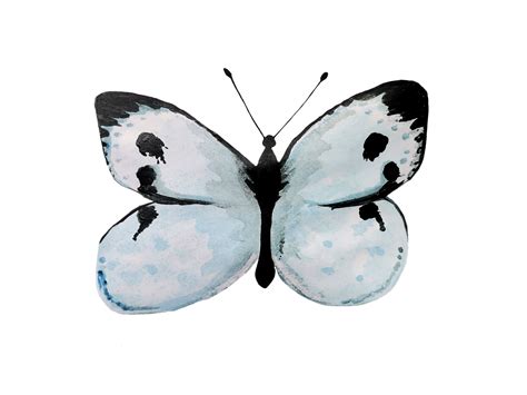 Watercolor Butterfly Paintings