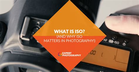 What Is ISO In Photography Why ISO Matters And Examples