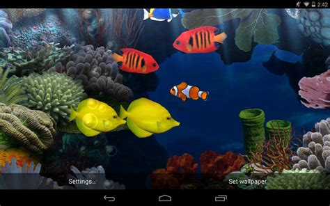 46 Live Aquarium Wallpaper Free Download On Wallpapersafari