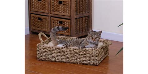 Seagrass Boxed Cat Bed With Pillow