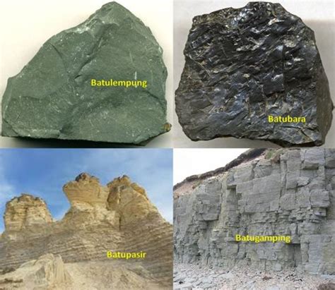 Batuan Sedimen Jenis Contoh Dan Proses Terbentuknya