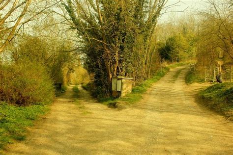 A fork() in the road. Yearning for the Romantic Road Not Taken | Psychology Today