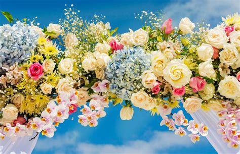 Top 10 Wedding Flowers Lovetoknow