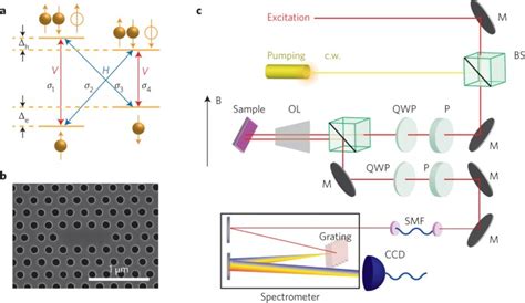 A Quantum Phase Switch Between A Single Solid State Spin And A Photon