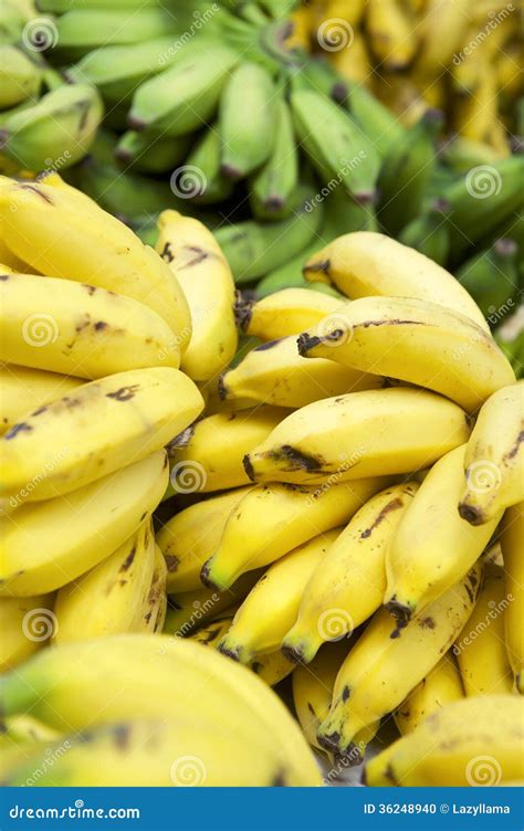 Ripe Yellow Banana Bunches At Brazilian Farmers Market Stock Photo