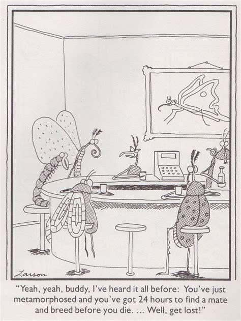 24 Best Images About Far Side On Pinterest Gary Larson Cartoons Far