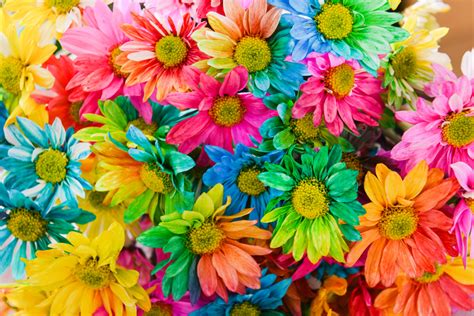 Immagini gratis di compleanno fiori. FIORI DA COLORARE ⋆ Blog FloraQueen IT