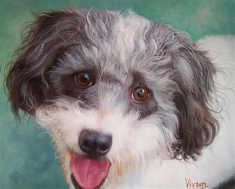 Acrylic Pet Portraits Pet Paintings In Acrylic