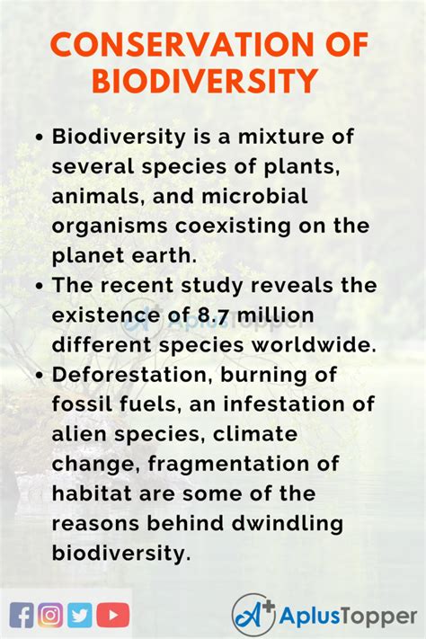 Conservation Of Biodiversity Essay For Students And Children In English