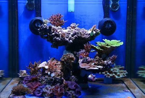 3 how to attach live rock together. Top Reef Tank Aquascapes My old 2m Reef Aquarium Ideas ...