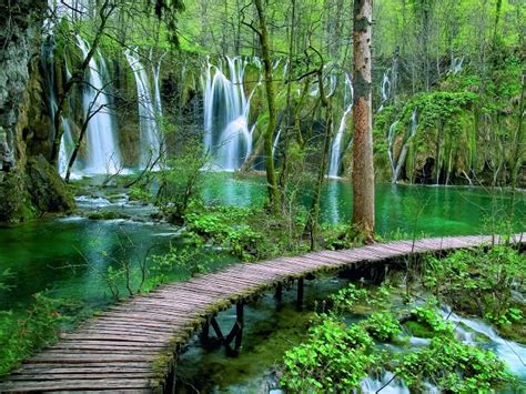 Les Lacs De Plitvice Parc National En Croatie