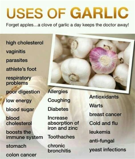 14 Best Garlic Health Benefits Images On Pinterest Health Foods