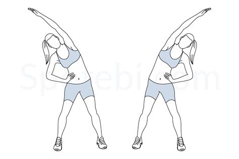 Obliques Stretch Illustrated Exercise Guide