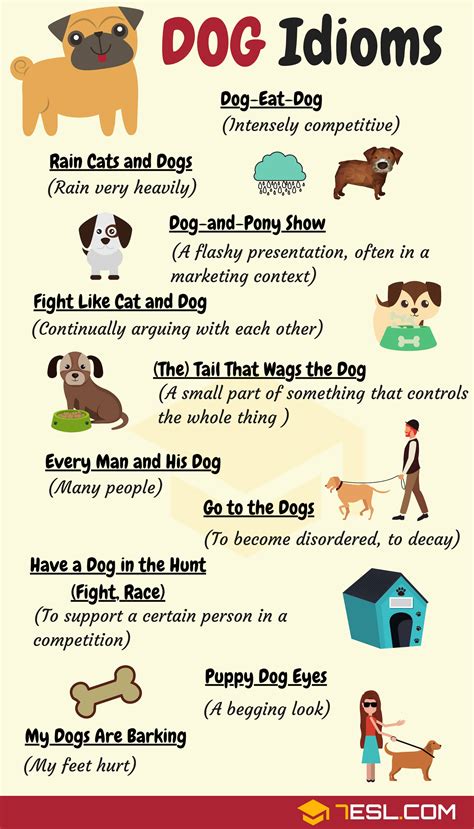 Dog Idioms 16 Useful Dog Idioms And Sayings English As A Second Language