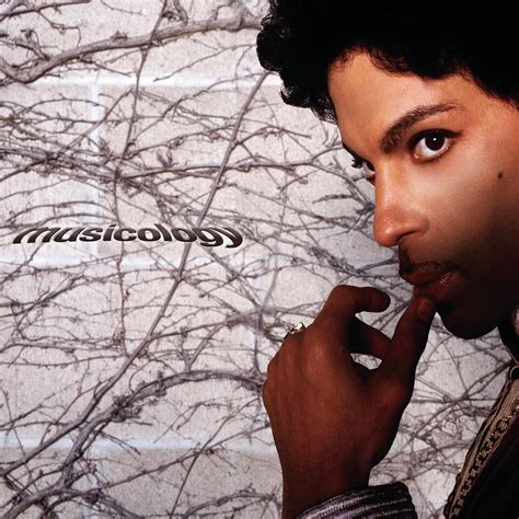 Prince Musicology Reviews Album Of The Year