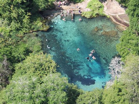 10 Epic Summer Swimming Holes In Florida Natural Springs Trips To