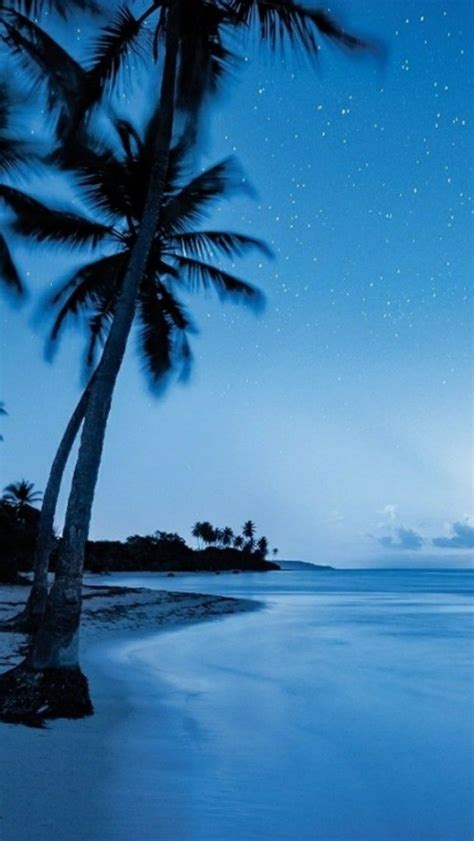 Starry Night Sky Over The Beach Wallpaper Backiee