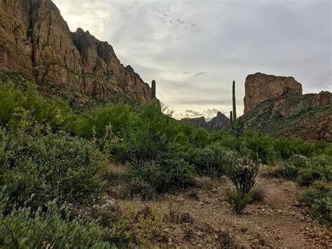 Hiking The Boulder Canyon Trail In Arizona