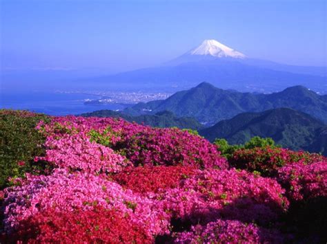 Monte Fuji Lindas Paisagens Japão