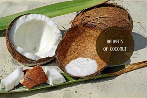 Benefits Of Eating Coconut Ayurvedum