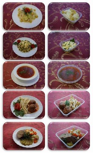 Отзывы о мясной диете