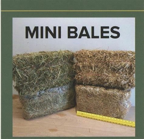 Ontario Grown Timothy Hay Mini Bales Valley Feeds
