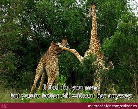 Comforting Giraffe By Calzones Meme Center