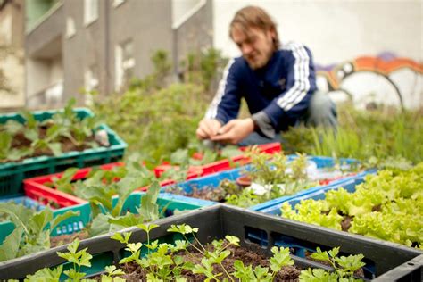 Urban Gardening And Farming Die Urbanisten