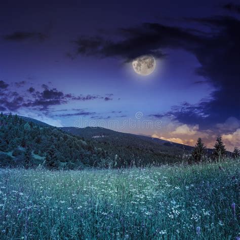 Path Through Meadow To Forest In Mountain At Night Stock Photo Image