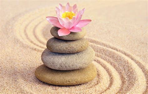 Zen Lotus Hd Wallpapers Top Free Zen Lotus Hd Backgrounds
