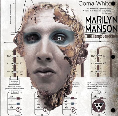 Arriba Foto Marilyn Manson I Don T Like The Drugs Actualizar
