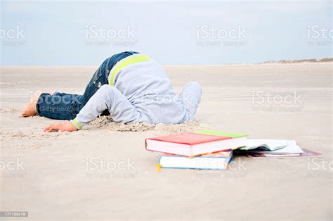 Hiding Head In Sand Stock Photo Download Image Now Istock