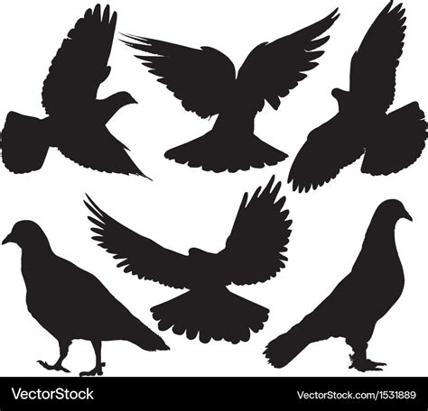 Pigeon Silhouette Royalty Free Vector Image Vectorstock
