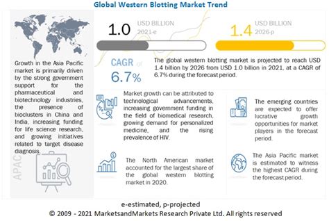 Western Blotting Market Outlook Analysis Bio Rad