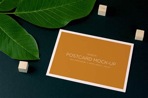 30 Best Free Postcard Mockups In Psd 2021 Avasta