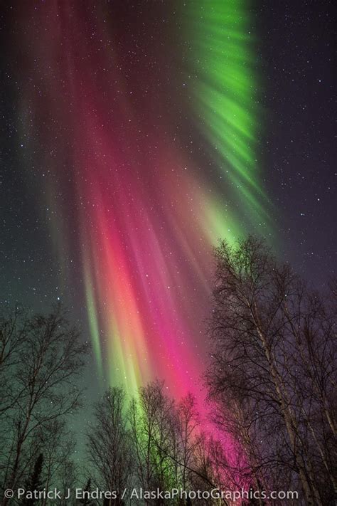 I Just Feel Like I Really Need To See The Northern Lights Some Day So