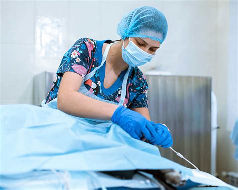 See gulf coast veterinary specialists in action for their second season on nat geo wild. Surgery | Atlantic Coast New York Veterinary Specialists ...