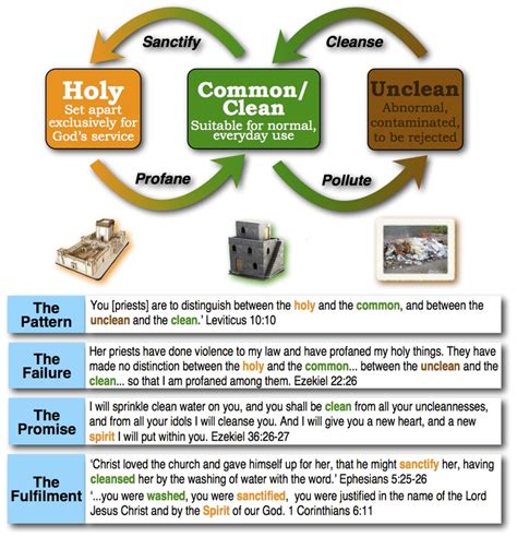 A Brief Guide To The Theology Of Clean Unclean And Holy Bible Study