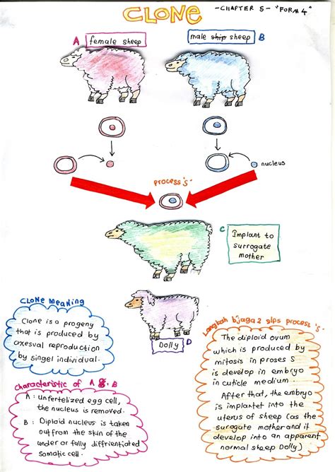 Hsp Biologi Tingkatan Bijak Tekun Nota Kreatif Biologi Tingkatan  My