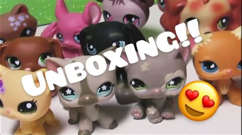 Lps Package Unboxing Youtube